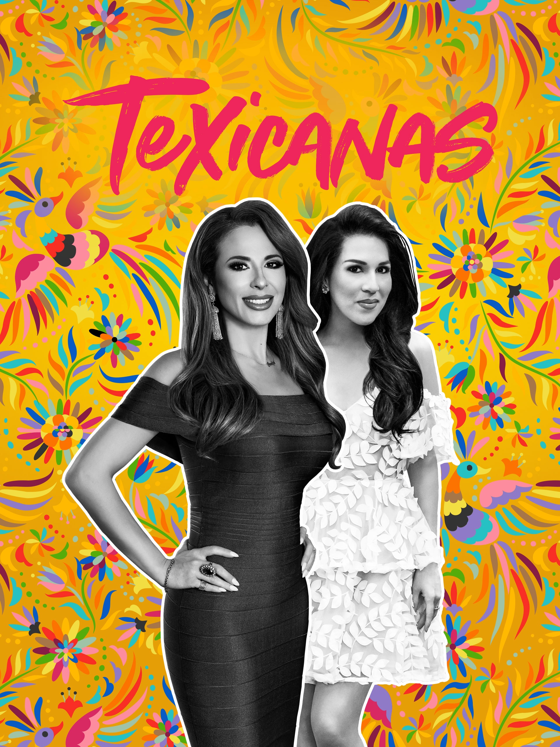 Texicanas