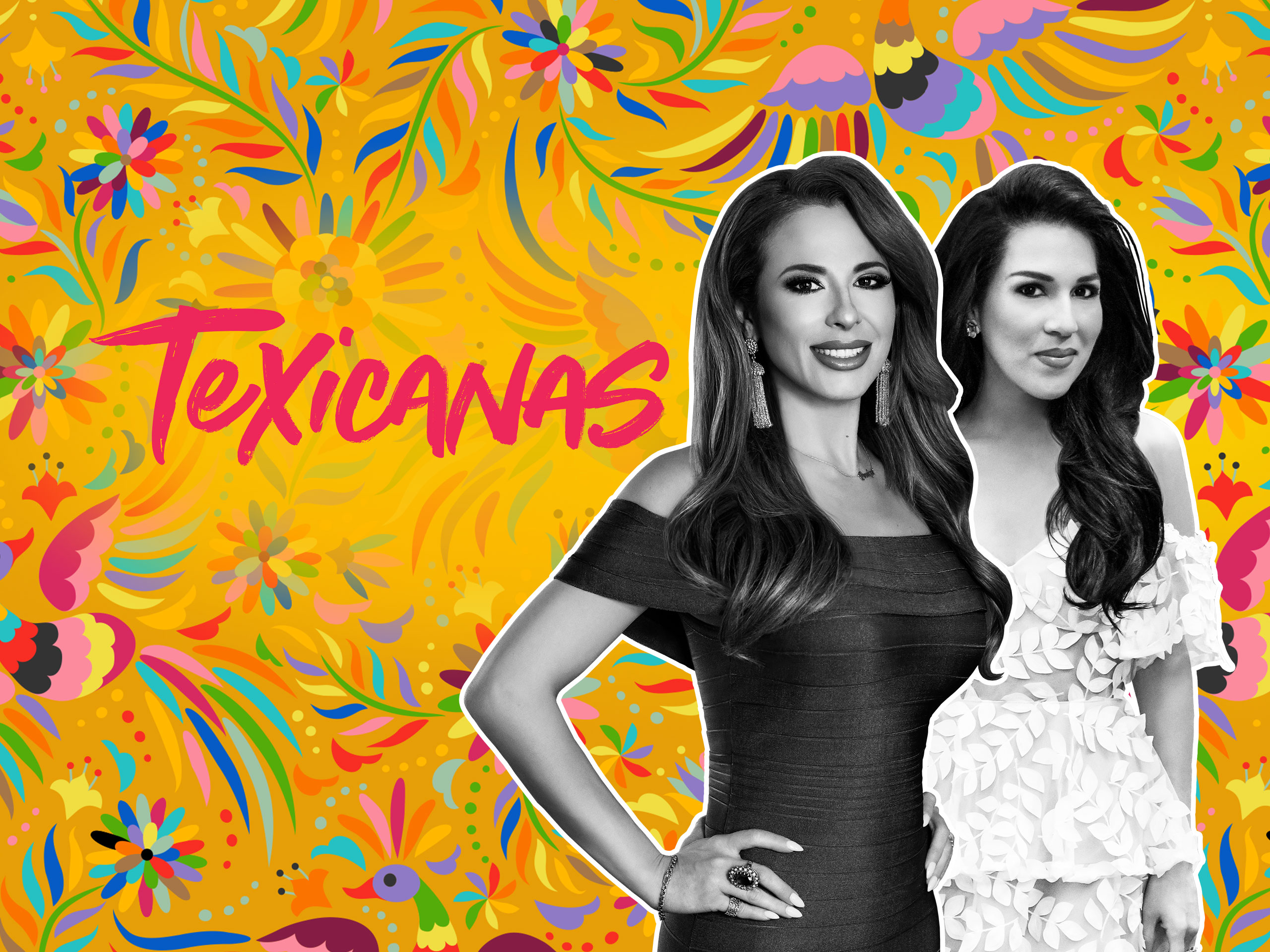 Texicanas
